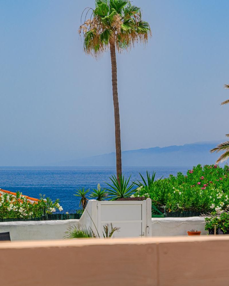 20250715 - 25 - Anthea F - Callao Salvaje +20detalles-51